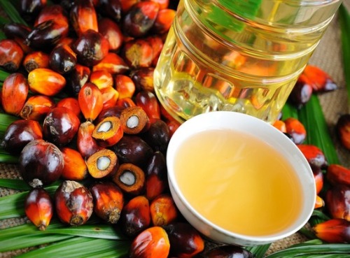 Пальмовое масло - вред и польза